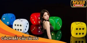 cách bắt cầu tài xỉu