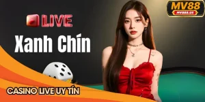Casino live uy tín