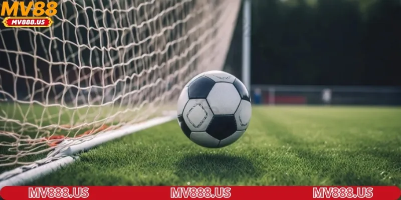 diem-danh-bo-mon-keo-cuoc-truc-tuyen-noi-bat