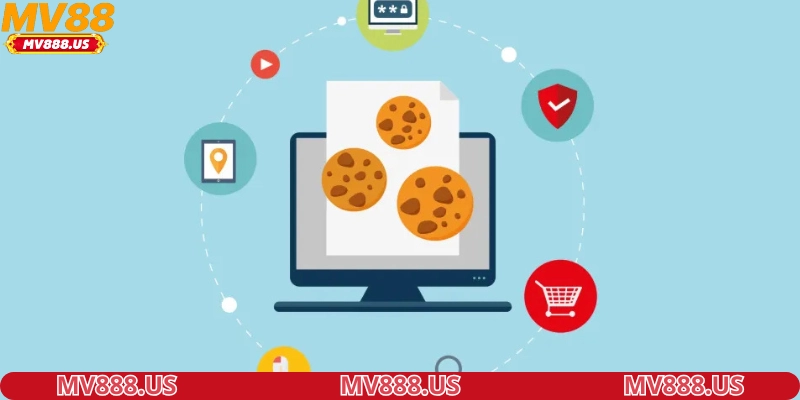 mang-den-tinh-nang-moi-cho-nguoi-dung